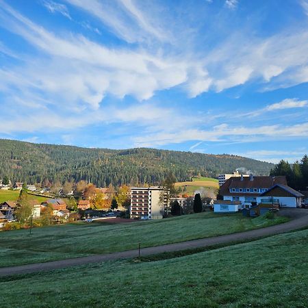 Ferienwohnung Tannenballett Im Schwarzwald بيرسبرون المظهر الخارجي الصورة