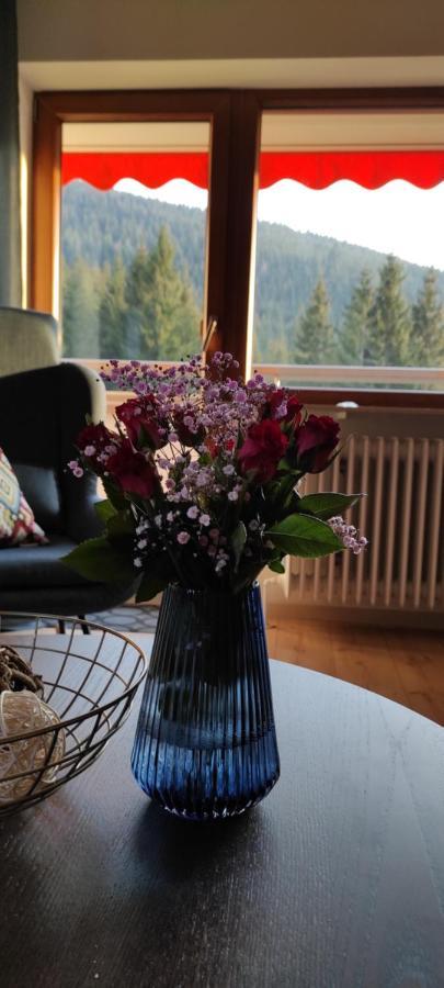 Ferienwohnung Tannenballett Im Schwarzwald بيرسبرون المظهر الخارجي الصورة