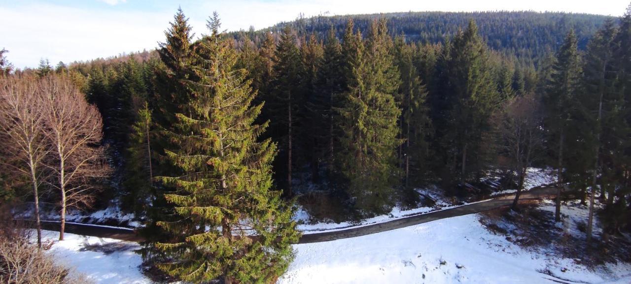 Ferienwohnung Tannenballett Im Schwarzwald بيرسبرون المظهر الخارجي الصورة