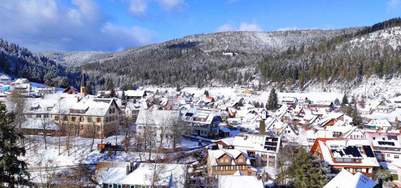 Ferienwohnung Tannenballett Im Schwarzwald بيرسبرون المظهر الخارجي الصورة