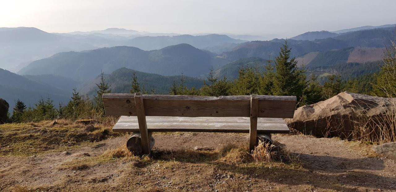Ferienwohnung Tannenballett Im Schwarzwald بيرسبرون المظهر الخارجي الصورة