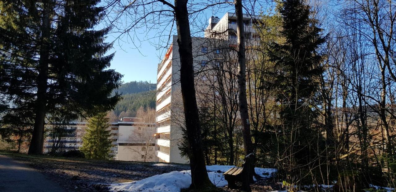 Ferienwohnung Tannenballett Im Schwarzwald بيرسبرون المظهر الخارجي الصورة