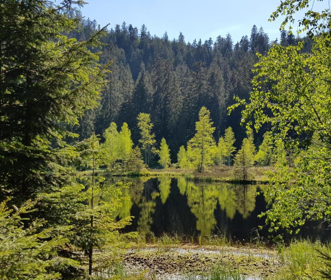 Ferienwohnung Tannenballett Im Schwarzwald بيرسبرون المظهر الخارجي الصورة