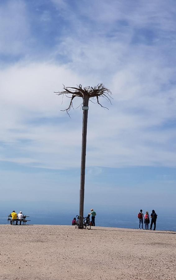 Ferienwohnung Tannenballett Im Schwarzwald بيرسبرون المظهر الخارجي الصورة