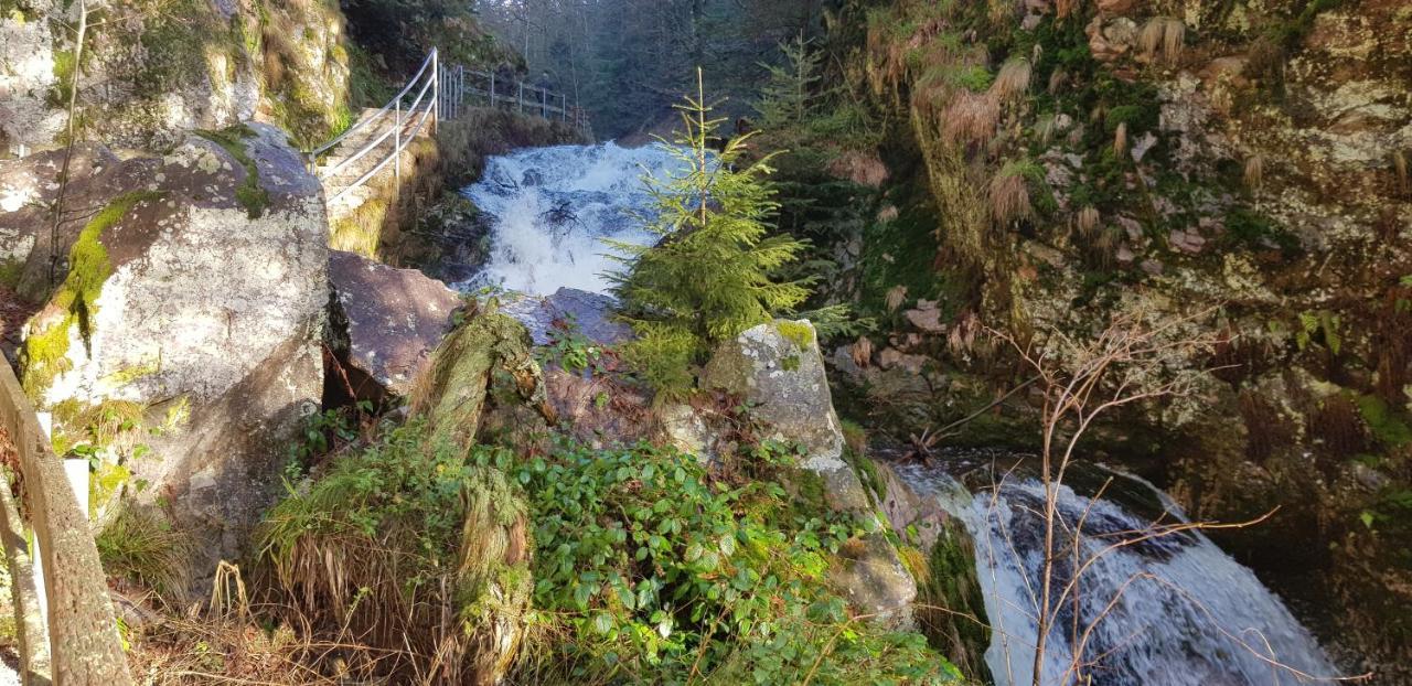 Ferienwohnung Tannenballett Im Schwarzwald بيرسبرون المظهر الخارجي الصورة
