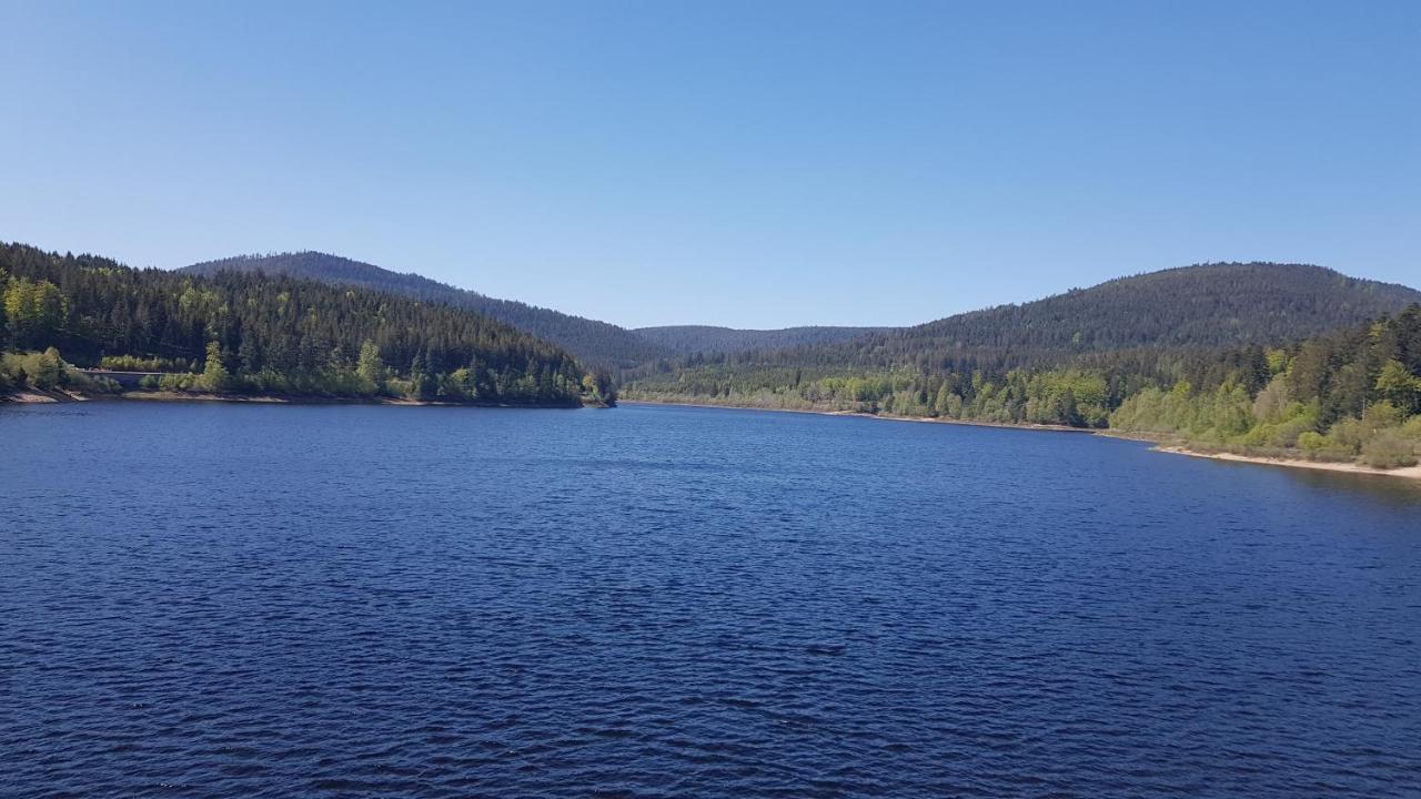 Ferienwohnung Tannenballett Im Schwarzwald بيرسبرون المظهر الخارجي الصورة