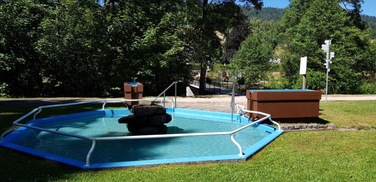 Ferienwohnung Tannenballett Im Schwarzwald بيرسبرون المظهر الخارجي الصورة