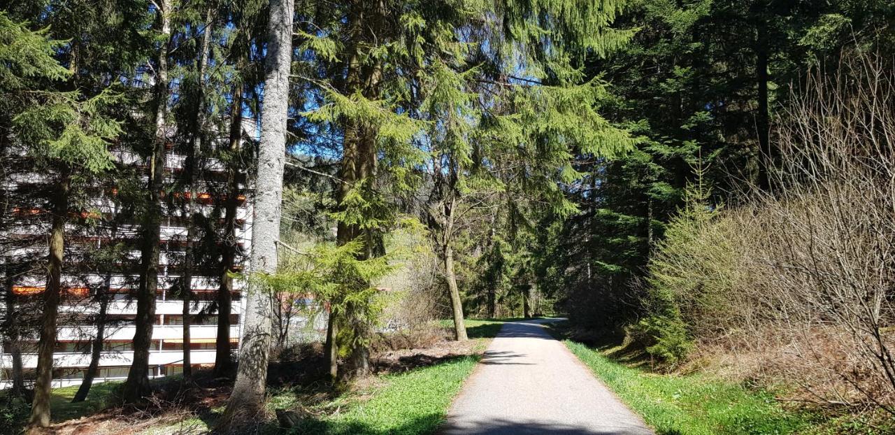 Ferienwohnung Tannenballett Im Schwarzwald بيرسبرون المظهر الخارجي الصورة
