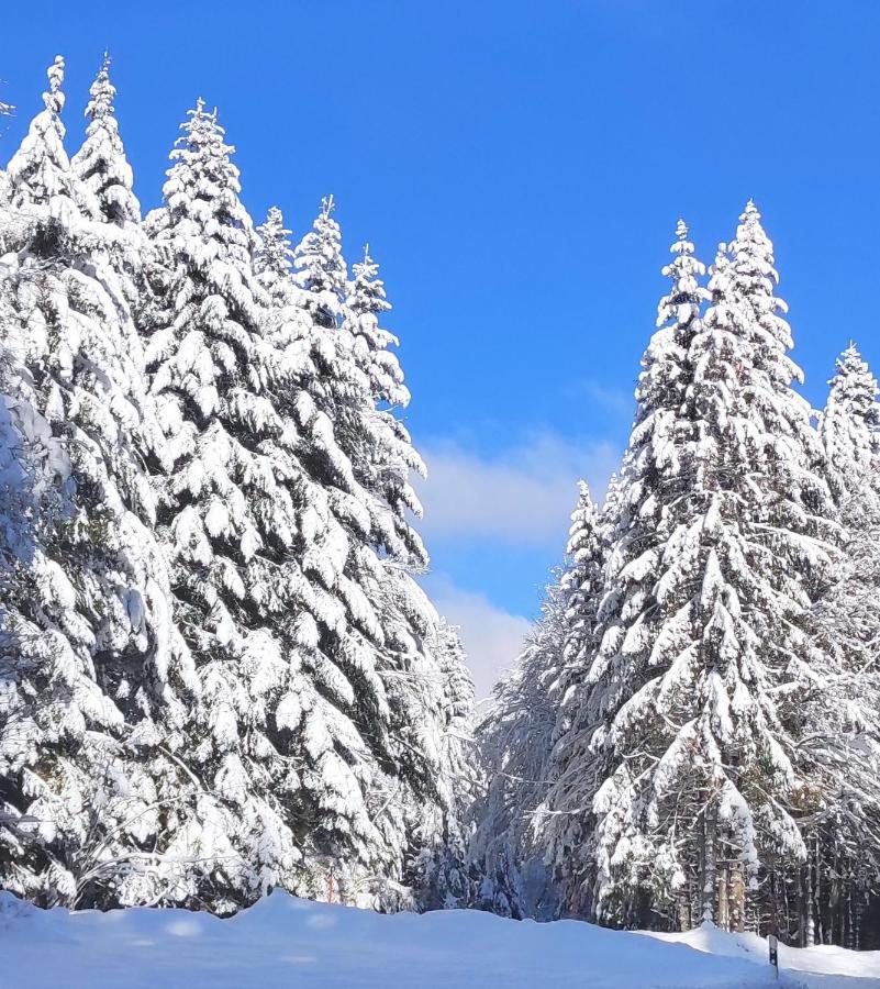 Ferienwohnung Tannenballett Im Schwarzwald بيرسبرون المظهر الخارجي الصورة