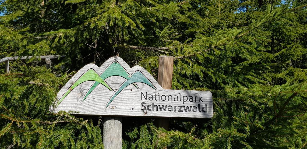 Ferienwohnung Tannenballett Im Schwarzwald بيرسبرون المظهر الخارجي الصورة