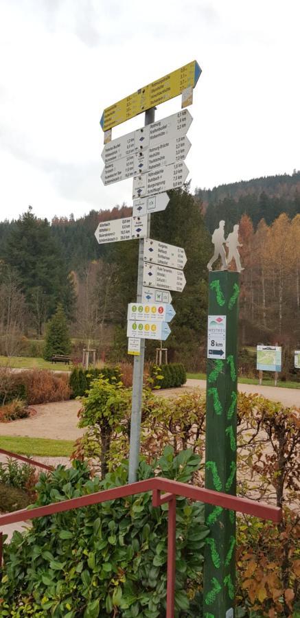 Ferienwohnung Tannenballett Im Schwarzwald بيرسبرون المظهر الخارجي الصورة